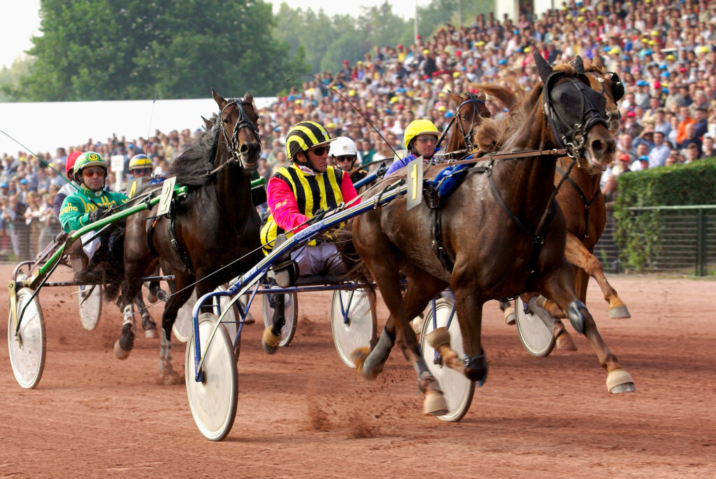 Les courses de trot